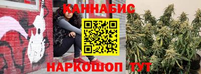 стаф Обь