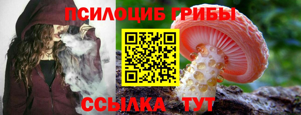 Галлюциногенные грибы GOLDEN TEACHER Новокубанск